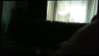 Video 1219092501: gay cock, mates cock