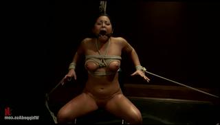 Watch the video about The Professor's Wife