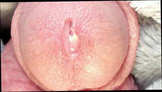 Video 1654095473: milking cock solo, solo male milking, cock masturbation solo cumshot, solo male moaning cumshot, toy cock milking, solo masturbation huge cock, amateur cock milking, solo rubbing cock, milking precum, milk huge load, extreme milking, milking close, blows camera