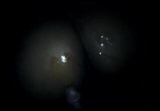 Video 80652401: ass phat butt, ebony phat ass dick, phat ass big dick, black ass butt, ebony ass cumshot, straight big black dick