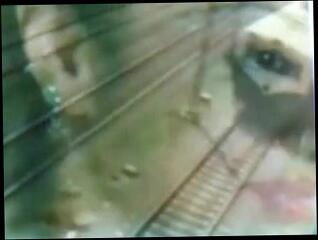 Video 50257101: hot man gay, gay face