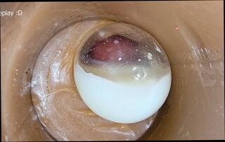 Video 1654516091: twink solo cumshot compilation, crossdresser bareback creampie, twinks cum anal compilation, anal creampie compilation sex, bareback gay anal creampie, amateur creampie cumshot compilation, condom anal bareback, grandpa cum compilation, big cock creampie compilation, bareback penetrating young twink, grandpa solo masturbation, solo toying compilation, sex fetish compilation, filled creampies compilation, condom pov, pov creampie inside, creampie compilation close, creampie compilation hd, solo man masturbation cumshot, creampie screaming, camera creampie