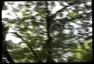 Video 61168301: maid butt, straight butt, french maid, home maid