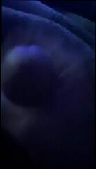 Video 1593869661: solo masturbation handjob, gay solo handjob, cock solo masturbation, solo amateur masturbation, solo masturbation tattoos, solo masturbation hd, play cum hard