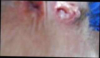 Video 1197478001: hairy ass gaping, gaping hairy pussy, hairy pussy pov, hairy mature pov, hairy pussy ass wife, spread ass gaping hole, hairy cunt ass hole, dirty hairy ass, pov ass cumshot, hairy pussies straight, hairy dirty talking, pussy gape close, wife ass cum