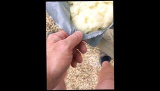 Video 1573399223: pissing peeing fetish, solo pee fetish, amateur piss fetish, pissing urinal, pee pissing outdoor, piss play pee, solo male piss, male pov pee, amateur public piss, pissing behind