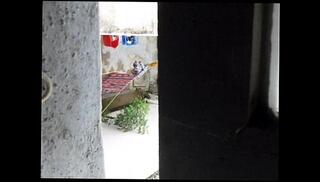 Video 174086215: indian naked, naked shower