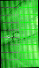 Video 333714201: ebony bbw creampie, black bbw creampie, gaping creampie, sexy bbw girl friend, ebony bbw cock, big black cock creampie, creampie straight, quick creampie, creampie hd