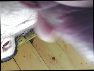 Video 1583493151: gay solo handjob, solo gay cock, solo gay amateur, small cock solo, amateur solo hd, solo european, outdoor solo, old solo, austrian cock