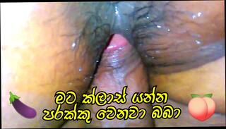 Video 1605437141: hairy lesbian pussy ass, sexy lesbian models, hairy lesbian girls, hairy lesbians fuck, models hot lesbian, lesbian models love, hairy indian lesbians, gay fuck lesbian girls, cocks hairy pussy fucked, indian lesbian girls sex, lesbian sex teacher, hairy pussy school girl, model sex porn, fucking lesbian hot homemade, pornstar lesbians love ass, hairy pussy tight ass, hairy pussy fucked close, hairy teen pussy hd, lesbian straight sex, lesbian sex home, funny lesbian