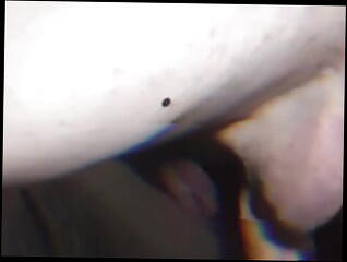 Video 1618993061: solo anal dildo masturbation, trans solo dildo, solo shemale dildo, solo amateur dildoing, young shemale solo, anal dildo hd, loves big dick fucking, anal polish