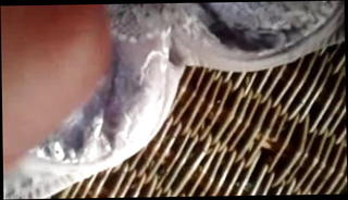 Video 956783101: underwear cum, machine cum, hot milf cum, washing machine, underwear party, friends underwear, gay man cum, sleeping cum, flash cum, cum time