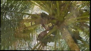 Video 1551609701: hairy daddy gay sex, hairy gay anal sex, hairy muscle daddy fucks, hairy gay men fucking, hairy couple fucking, hairy gay sex hot, hot blowjob hairy, hairy outdoor