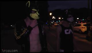 Video 1569168493: gay twink fetish, twink gay sex cum, big dick twink cums, twink big cock cum, twink blowjob cum, gay twink cumshot, twink cum face, twink puppy, berlin cum