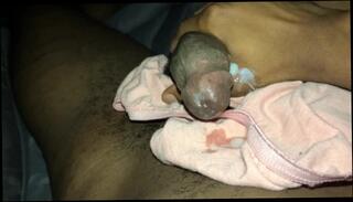 Video 1428514103: fetish solo masturbation, solo bisexual male, dick solo masturbating cumming, solo male masturbation cumshot, solo big dick cum, solo handjob cum, solo amateur cum, amateur bisexual sex, solo masturbation fucking, amateur ebony solo, panties solo masturbation, solo american, romantic solo, cumshot 60fps