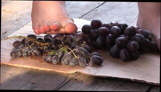 Video 1485425603: bare feet fetish, feet legs fetish, mature feet fetish, solo female feet, amateur feet, bare feet trampling, heels bare feet, feet crush, feet smash, feet outside, russian feet, feet outdoors, public feet, 60fps amateur