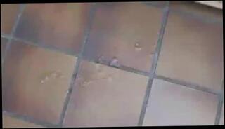 Video 52700101: gay good friends, man gay