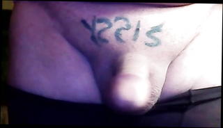 Video 1429916901: shemale dominates sissy, sissy solo cum, shemales bdsm domination, sissy jerk cum, sissy masturbation cum, amateur shemale domination, shemale lingerie solo