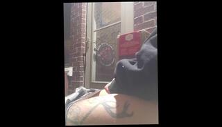 Video 1621969093: hairy pussy solo masturbation, hairy solo girl, amateur girl solo masturbation, amateur girl sex hairy, solo trans masturbation, solo outdoor masturbation, smoking solo masturbation, solo public masturbation