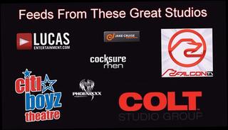 Watch the video about Causa 535 Quade