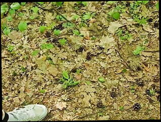 Video 1619756481: femboy twink jerking, twink femboy gay, femboy twink cums, twink piss cum, twink femboy fucks, twink pissing outdoors, young twink femboy, twink cock sucking daddy, twink amateur sucking cock, femboy masturbating cumming, big cock femboy cum, femboy blowjob cum, twinks eating cum gay, piss cum gay men, pissing naked men gay, twink cum slut, gay twink fucking muscle, gay man fucking twink, throat fuck piss, twink cum mouth, public piss cum, younger twink, polish twink, public nature pissing, pissing hd, horny porn