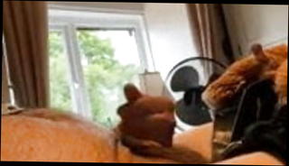 Video 1567648871: gay cock dicks, gay dick masturbate, amateur dick gay, cock small dick, cock british amateurs, small little dick