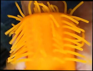 Video 1618651411: bareback twink boy pov, twink boys bareback fuck, gay bareback twink boy, twinks bareback butt fuck, twink bareback fucks cum, twink bareback fucking teen, bareback twink gay sex, twink bareback fucking amateurs, twink latino bareback fucking, twink fucking gaping, bareback fuck young twink, twink big cock bareback, big dick twinks bareback, homemade twinks bareback, twinks blowjob bareback, twinks bareback facial, twinks bareback cumshot, twink barebacking outdoors, barebacks black twink, twinks gays boys masturbations, blowjob bareback fuck jerk, twink fuck butt bubble, twink boy straight gay, pov blowjob handjob cumshot, twinks eating cum gay, twink boy toy, gay twinks fucking men, twink gay guys fuck, gay man fucking twink, sex public pov blowjob, hd pov teen fuck, twink fucks older man, indian twink boy, twink fuck first, twink cum mouth, blowjob pov close, twink toilet, twink helps, ass