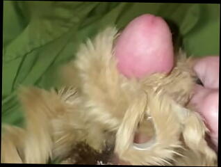 Video 1611130261: sissy crossdresser solo, sissy crossdresser shemale, sissy crossdresser masturbates, amateur sissy crossdresser, blonde sissy crossdresser, small cock shemale solo, shemale solo orgasm, solo masturbation handjob, transvestite crossdresser, woman crossdresser, solo man masturbation, solo masturbation hd, crossdressing jacking, crossdresser bunny, american crossdresser, college crossdresser, cock balls cum