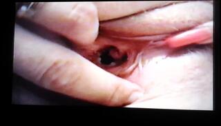 Video 150895301: straight cock sucker, cock close, sucker hd