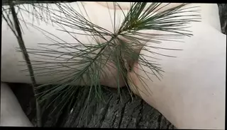 Video 1577407731: whipped slapped, whipped humiliated, bdsm whipping, tits slapped fucked, spanking whipping hard, whipped women, big tits whipped, public humiliation sex, nudity hard sex, bdsm action, straight humiliation, brutal whipping, whip training, outdoor whipping, flashing public nudity, whipping hd, natural tits fucked hard