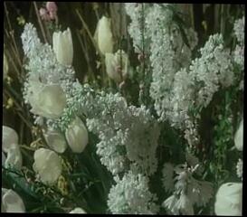 Video 246724101: vintage straight, straight hand