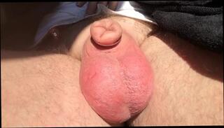 Video 267844501: cock soaked, cock balls, hanging balls, gay hang, man gay