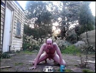 Video 178559901: bdsm doggy, amateur doggy, gay doggy, man doggy