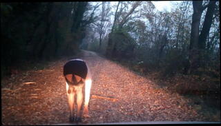 Video 1101487001: anal plug solo, plugs anal toy, plug sex toy, ass anal plug, amateur anal plug, shemale anal solo, anal plug public, hot anal plug, sexy stocking solo, shemale lingerie solo, mature solo toys, solo toy hd, plug outdoor, skirt slut