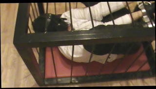 Video 1533172501: dominate humiliate slaves, bondage slave domination, master dominate slave, gay domination slave, bondage slave training, slave couple, domination hd, hungarian couple