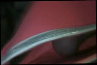 Video 134900601: cumshot red, man gay