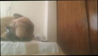 Video 770399595: tranny travesti, oral travesti, shemale travesti, tranny kissing