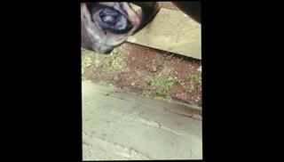 Video 1621288353: oil dick massage, big dick oil massage, oil massage cumshot, oil massage handjob, oil cock massage, solo masturbation oiled, amateur oil massage, oil creampie, solo male masturbation cumshot, solo masturbating black cock, monster black cock solo, amateur mature creampie, massage school, black african dick, black dick cream, biggest black dick, black dick stroking