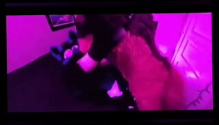 Video 982116565: gay furry, bed fucked hard