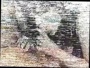 Video 285214801: rocco siffredi, lilli carati, vintage cum, vintage big cock, vintage straight, vintage italian, vintage brunette, cock cumming together, cock cum mouth, italian porn, porn two