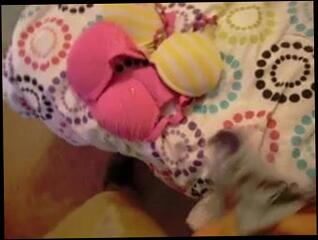 Video 52303101: daughter, man gay