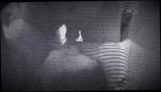 Video 1174496001: hot wife milf blowjob, milf wife husband, milf amateur mature wife, amateur milf blows, amateur blonde milf wife, milf blow job, amature milf, straight milf