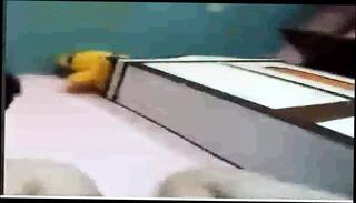 Video 1593852061: gay solo cumshot compilation, cumshot compilation cumpilation, solo twink boys, twink cum compilation, solo twink masturbation, solo twink jerks, big cock solo compilation, big dick twink solo, twink blowjob compilation, teen solo compilation, twink solo ass, asian twink solo, gay twink boy naked, twink boy gay sex, twink gay boys fucking, gay twink boys small, gay twink cum mouth, daddy cum compilation, gay twink fuck bear, teen cumshot compilation hd, twink fuck old gay, twinks sex gay man, solo bathroom masturbation, solo public masturbation, solo masturbation tattoos, boy masturbate hard