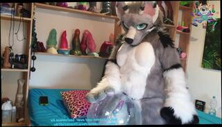 Video 1580846583: furry solo, strapon solo, strapon fucked toyed, strapon fucking amateur, inflatable ball, solo female fucks, furry cosplay