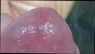 Video 1511767101: sister pissing, man gay