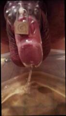 Video 328656801: pee gay, stocking pee, man peeing, pee hd