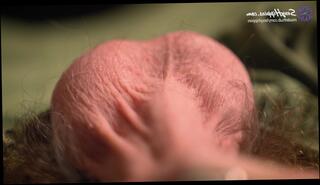 Video 1428881903: solo male masturbation pov, hairy cock solo, hairy dick solo, solo big cock masturbation, cock pov cumshot, pov big cock amateur, pov cock stroking, hairy amateur natural, pov close