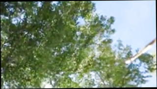 Video 1547697101: russian doggy style, doggy style outdoors, stories straight