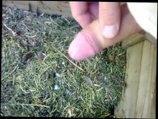 Video 148768201: handjob masturbation, gay handjob, military handjob