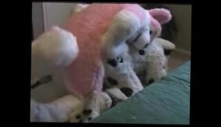 Video 373764005: furry ass, gay furry, ass hole toyed fucked